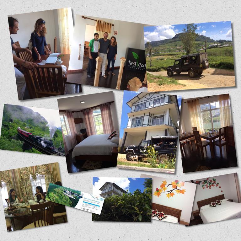 Bed and Breakfast Tealeaf Nuwara Eliya Zewnętrze zdjęcie