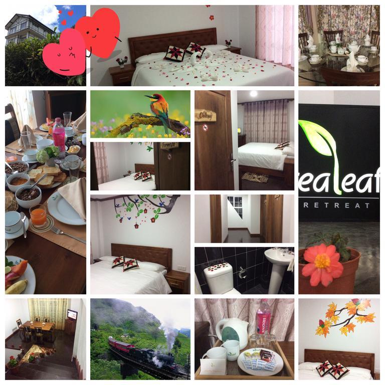 Bed and Breakfast Tealeaf Nuwara Eliya Zewnętrze zdjęcie