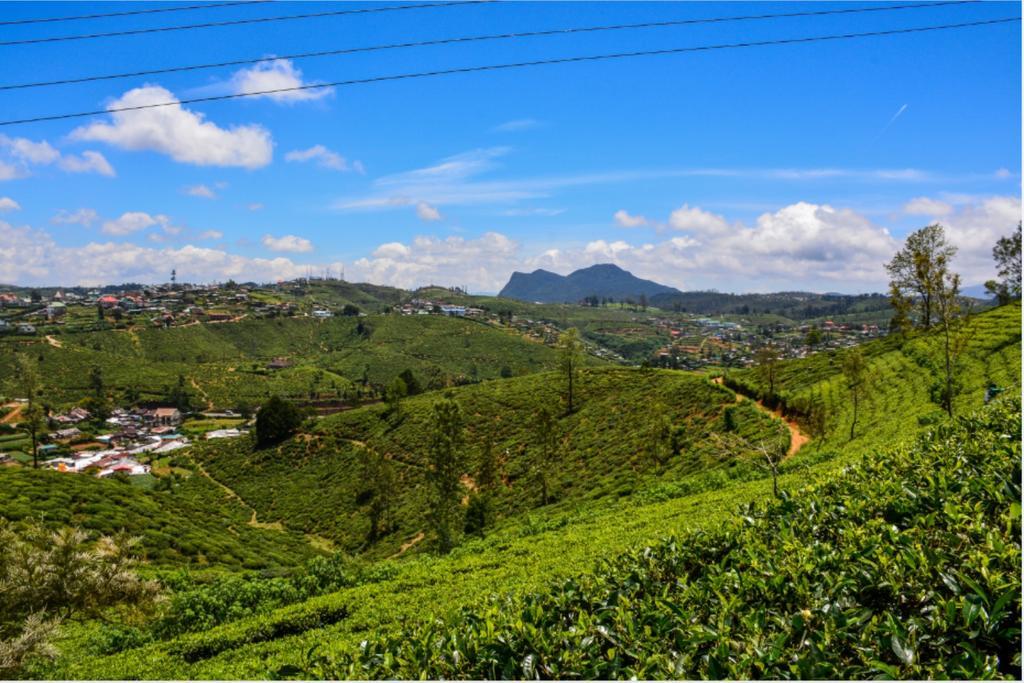Bed and Breakfast Tealeaf Nuwara Eliya Zewnętrze zdjęcie